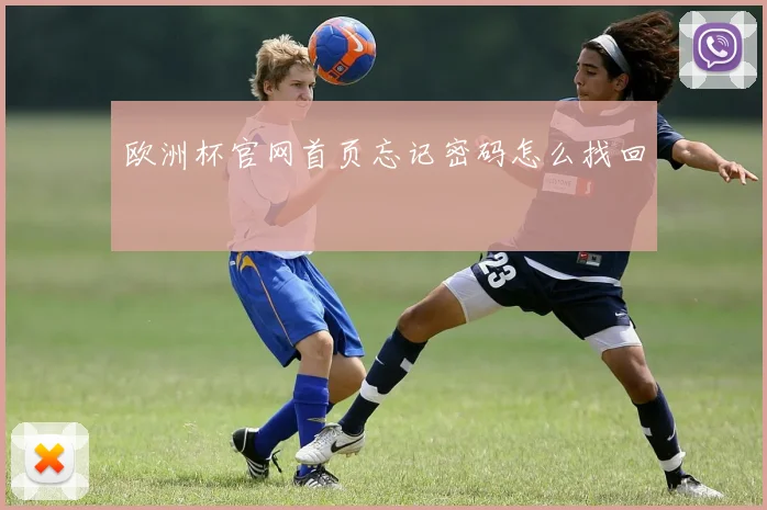 欧洲杯官网首页忘记密码怎么找回