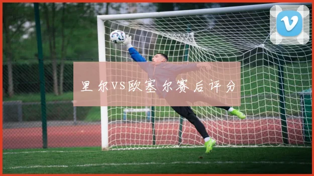 里尔vs欧塞尔赛后评分